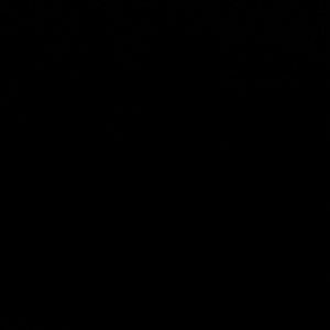 Meet your Posher, Leann